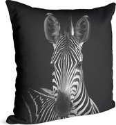 Zebra op zwarte achtergrond - Foto op Sierkussen - 40 x 40 cm