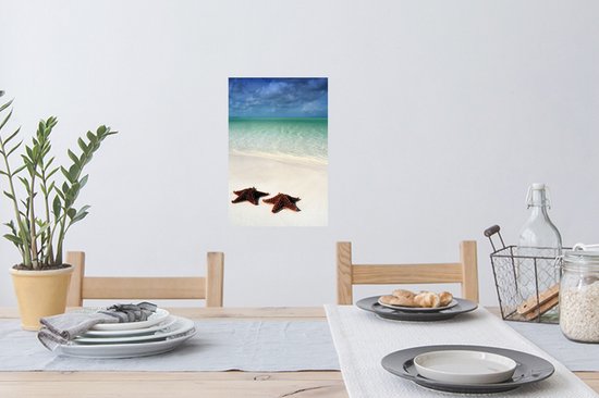 Sticker Muursticker Étoile de mer - Deux grandes étoiles de mer se trouvent sur la côte de Cuba - 20x30 cm - Film adhésif autocollant - Sticker mural repositionnable