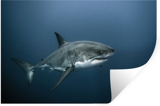 Muurstickers - Sticker Folie - Een grote witte haai in donker water - 30x20 cm - Plakfolie - Muurstickers Kinderkamer - Zelfklevend Behang - Zelfklevend behangpapier - Stickerfolie