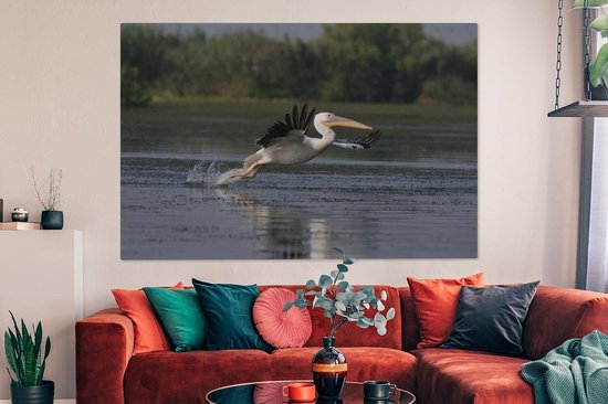 Pelican en Roumanie 180x120 cm - Tirage photo sur Toile (Décoration murale salon / chambre) / Animaux sauvages Peintures sur toile XXL / Groot format!