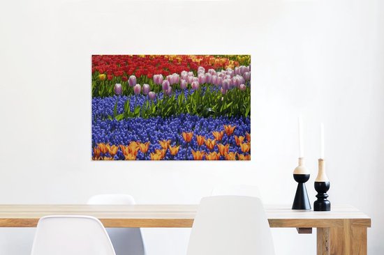 Tulipes et jacinthes colorées dans le Keukenhof en Holland méridionale 60x40 cm - Tirage photo sur toile (Décoration murale salon / chambre) / Peintures Fleurs sur toile