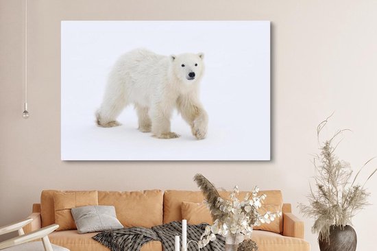 Tableaux sur Peintures Ours Polaire - Neige - Wit - 150x100 cm - Décoration murale