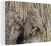 Chouette camouflée 160x120 cm - Tirage photo sur toile (Décoration murale salon / chambre) XXL / Groot format!