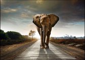 Ingelijste Schilderij - 100x140 cm, 'Street elephant' - Straatolifant