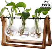 ESSIBLE Vaasjes - Plantjes - Glaasjes - Decoratie - Doorzichtig Glas & Hout - Binnen & Buiten - Stekjes - Droogbloemen - Waterplantjes