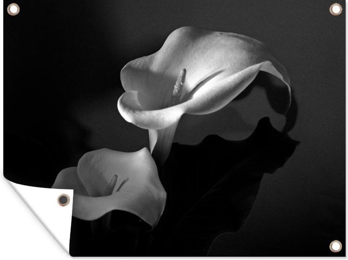 Décoration de Jardin Reflet d'une fleur Calla blanche - noir et blanc -  40x30 cm | bol.com