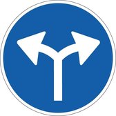 Verplichte rijrichting links en rechts sticker, D7 100 mm