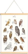 JUNIQE - Posterhanger Uilen illustratie -60x90 /Bruin & Wit