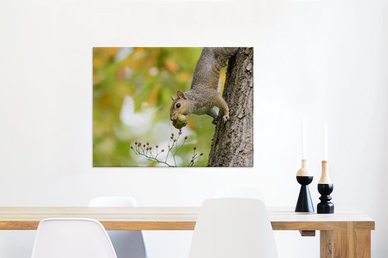 Écureuil gris en toile d'automne 2cm 80x60 cm - Tirage photo sur toile (Décoration murale salon / chambre) / Peintures sur toile animaux sauvages