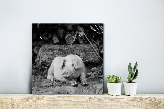 Cochon couché en toile noire et blanche 2cm