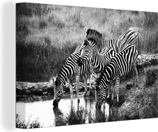 Canvas Schilderij Drinkende zebra's - 60x40 cm - Wanddecoratie