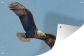 Muurdecoratie Vogel - Zeearend - Vliegen - 180x120 cm - Tuinposter - Tuindoek - Buitenposter