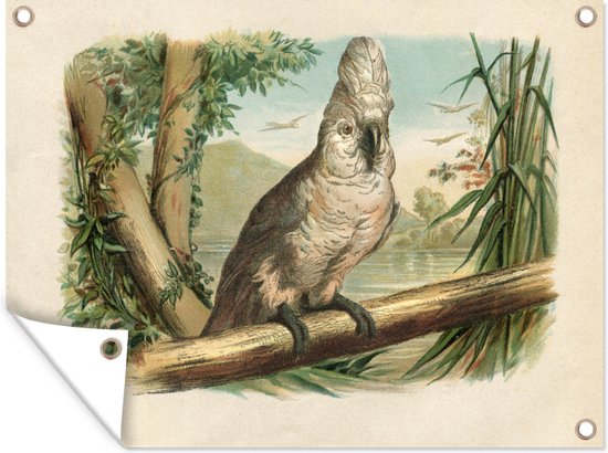 Décoration murale extérieure Cacatoès blanc imprimé oiseau antique - 160x120 cm - Toile de jardin - Poster extérieur