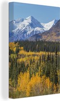 Canvas Schilderij Bos in het Nationaal park Kluane in Yukon - 80x120 cm - Wanddecoratie