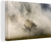Canvas Schilderij Eenvoudige boom in de mist - 90x60 cm - Wanddecoratie