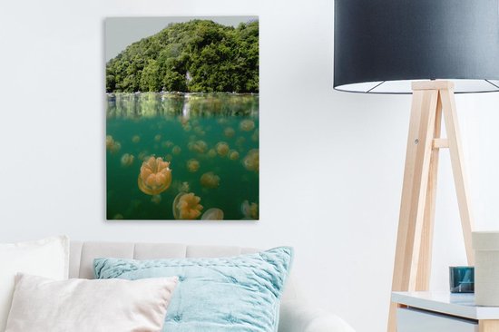 Demi-forêts photo sous-marines près du lac des méduses à Palau Toile 30x40 cm - petit - Tirage photo sur toile (décoration murale salon / chambre)