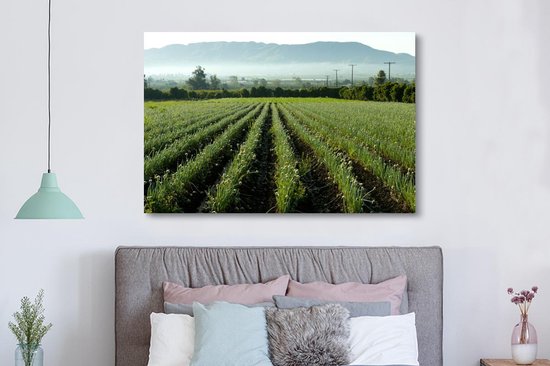 Canvas schilderij 150x100 cm - Wanddecoratie Uien in het veld met uitzicht op de bergen - Muurdecoratie woonkamer - Slaapkamer decoratie - Kamer accessoires - Schilderijen