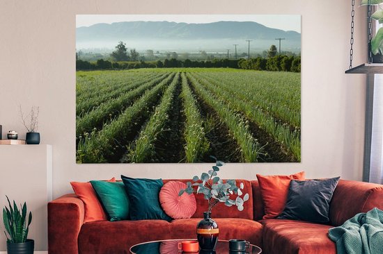 Canvas schilderij 150x100 cm - Wanddecoratie Uien in het veld met uitzicht op de bergen - Muurdecoratie woonkamer - Slaapkamer decoratie - Kamer accessoires - Schilderijen