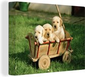 Canvas Schilderij Drie schattige Golden Retriever puppy's in een kar - 80x60 cm - Wanddecoratie