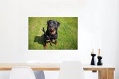 Canvas Schilderij Rottweiler kijkt naar zijn baasje - 90x60 cm - Wanddecoratie