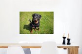 Canvas Schilderij Rottweiler kijkt naar zijn baasje - 60x40 cm - Wanddecoratie