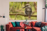 Canvas Schilderij Een kookaburra of ijsvogel in de natuur van Australië - 150x100 cm - Wanddecoratie