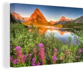 Fleurs violettes dans le Parc National des Glaciers Toile 90x60 cm - Tirage photo sur toile (Décoration murale salon / chambre)