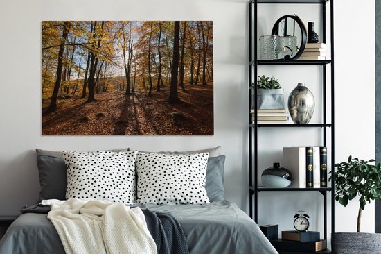 Couleurs d'automne dans les bois du parc national suédois Söderåsen Toile 120x80 cm - Tirage photo sur toile (Décoration murale salon / chambre)