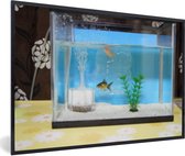 Photo en cadre - Deux poissons dans un cadre photo aquarium noir 90x60 cm - Affiche sous cadre (Décoration murale salon / chambre)
