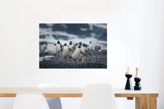 Adelie pingouins sur la plage poster papier 90x60 cm - Tirage photo sur Poster (décoration murale salon / chambre) / Poster Animaux sauvages