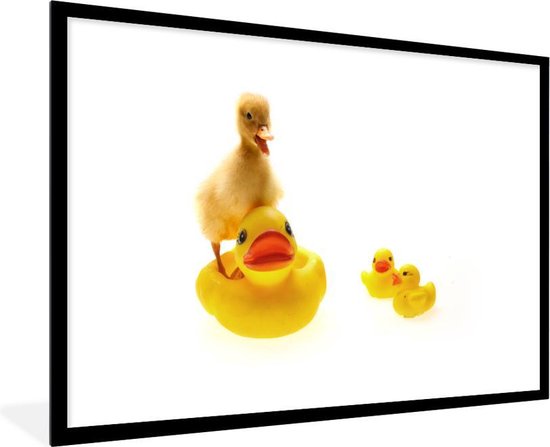 Canard Bebe Sur Cadre Photo Canards De Bain Noir Avec Passe Partout Blanc 80x1 Bol Com