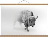 Schoolplaat – Buffel in de Sneeuw - 90x60cm Foto op Textielposter (Wanddecoratie op Schoolplaat)