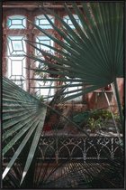 JUNIQE - Poster met kunststof lijst The Tropical Glasshouse II -13x18