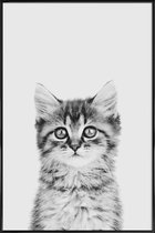 JUNIQE - Poster in kunststof lijst Kitten Classic -20x30 /Wit & Zwart