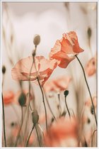 JUNIQE - Poster met kunststof lijst Sunkissed Flowers 1 -13x18 /Grijs