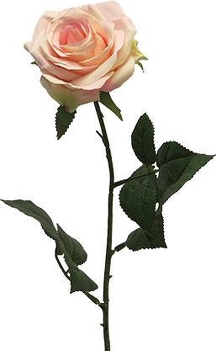 Rosa Dijon cream/pink 64 cm kunstbloem Nova Nature