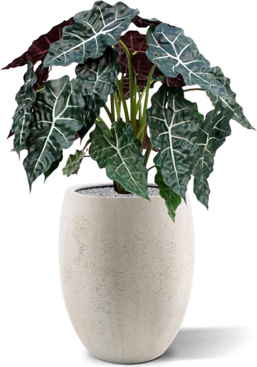 maxifleur Kunstplanten Alocasia kunstplant 75cm Groen