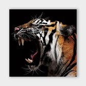 Poster Tiger Roar - Dibond - Meerdere Afmetingen & Prijzen | Wanddecoratie - Interieur - Art - Wonen - Schilderij - Kunst