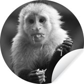 WallCircle - Muurstickers - Behangcirkel - Fruit etende kapucijnaap in Costa Rica in zwart wit - 100x100 cm - Muurcirkel - Zelfklevend - Ronde Behangsticker XXL