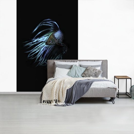 Papier peint photo vinyle - Portrait d'un poisson combattant siamois sur fond noir largeur 190 cm x hauteur 280 cm - Tirage photo sur papier peint (disponible en 7 tailles)