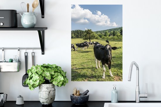 Sticker Muursticker Vache frisonne Luxurydeco - Troupeau de vaches paissant en België - 40x60 cm - Film adhésif autocollant - Sticker mural repositionnable