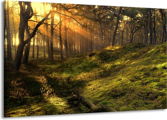 Peinture sur toile Nature | Vert jaunâtre | 140x90cm 1 Liège