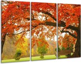 GroepArt - Schilderij -  Herfst - Oranje, Groen, Geel - 120x80cm 3Luik - 6000+ Schilderijen 0p Canvas Art Collectie