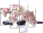 Glasschilderij -  Orchidee - Wit, Zwart, Roze - 100x70cm 5Luik - Geen Acrylglas Schilderij - GroepArt 6000+ Glasschilderijen Collectie - Wanddecoratie- Foto Op Glas