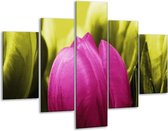 Glasschilderij -  Tulp - Roze, Groen - 100x70cm 5Luik - Geen Acrylglas Schilderij - GroepArt 6000+ Glasschilderijen Collectie - Wanddecoratie- Foto Op Glas