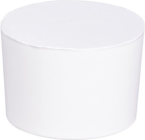 Wenko Navulling Luchtontvochtiger 11 Cm Wit Polystyreen
