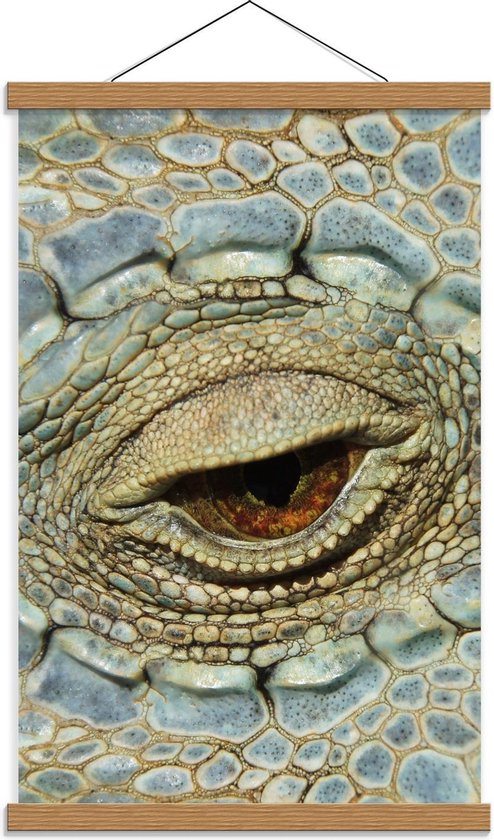 Schoolplaat – Bruin Oog van Alligator  - 40x60cm Foto op Textielposter (Wanddecoratie op Schoolplaat)