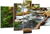 Glasschilderij Natuur - Grijs, Bruin, Groen - 170x100cm 5Luik - Foto Op Glas - Geen Acrylglas Schilderij - 6000+ Glasschilderijen Collectie - Wanddecoratie