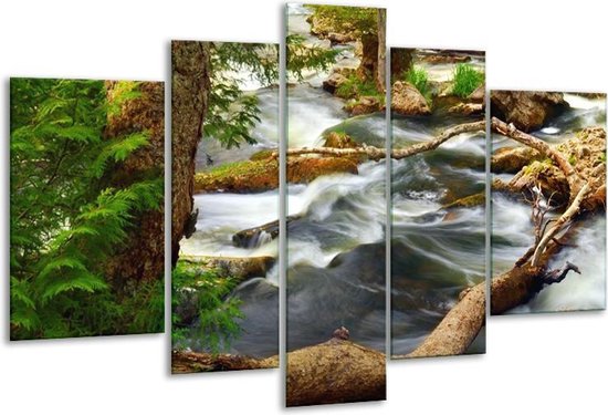 Glasschilderij Natuur - Grijs, Bruin, Groen - 170x100cm 5Luik - Foto Op Glas - Geen Acrylglas Schilderij - 6000+ Glasschilderijen Collectie - Wanddecoratie