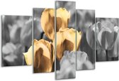 Glasschilderij Tulpen - Goud, Wit, Grijs - 170x100cm 5Luik - Foto Op Glas - Geen Acrylglas Schilderij - 6000+ Glasschilderijen Collectie - Wanddecoratie